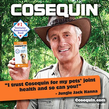미국 수의사 추천 1위 강아지 관절영양제 / 코세퀸 180정 대용량(Cosequin® DS Joint Health)