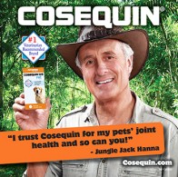 미국 수의사 추천 1위 강아지 관절영양제 / 코세퀸 180정 대용량(Cosequin® DS Joint Health)