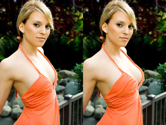 브레스트 액티브스, Breast Actives Breast Enhancement Cream