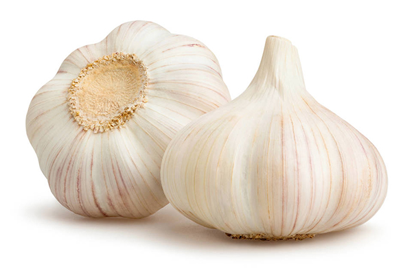 naturemade,garlic,garlic 1250mg,네이처메이드,네이처메이드 갈릭,마늘 보조제,마늘 추출물,마늘 추출 영양제,마늘 비타민,미국 마늘 영양제 naturemade,garlic,garlic 1250mg,네이처메이드,네이처메이드 갈릭,마늘 보조제,마늘 추출물,마늘 추출 영양제,마늘 비타민,미국 마늘 영양제