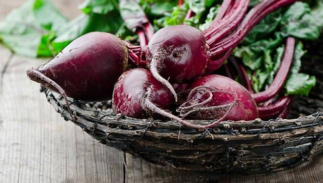 비트,비트뿌리,비트 뿌리,beet,beet root,nature's way,nature's way beet root,비트뿌리 건강식품,비트뿌리 비타민,비트뿌리 추천,비트뿌리 효과,비트뿌리 효능,비트뿌리 판매,비트뿌리 후기,비트뿌리 구입처,비트뿌리 쇼핑몰,미국 비트뿌리,미국 비트뿌리약,미국 비트뿌리 건강식품,미국 비트뿌리 영양제,비트뿌리 영양제 비트,비트뿌리,비트 뿌리,beet,beet root,nature's way,nature's way beet root,비트뿌리 건강식품,비트뿌리 비타민,비트뿌리 추천,비트뿌리 효과,비트뿌리 효능,비트뿌리 판매,비트뿌리 후기,비트뿌리 구입처,비트뿌리 쇼핑몰,미국 비트뿌리,미국 비트뿌리약,미국 비트뿌리 건강식품,미국 비트뿌리 영양제,비트뿌리 영양제