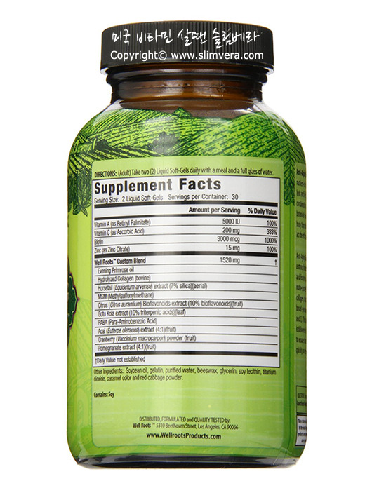 웰루츠,웰루츠 안티에이징, 웰루츠 스킨헤어네일,well roots, well roots antiaging, well roots, skin hair natils, 머리영양제,헤어영양제,손톱영양제,피부영양제,발톱영양제